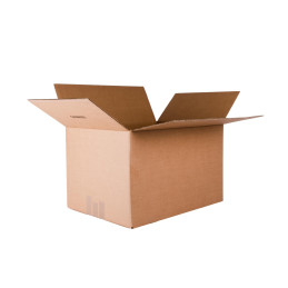 Caja de cartón simple 310x220x250mm