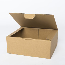 Cajas de envío postal 160x120x80