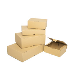 Caja de envío postal 240X170X150